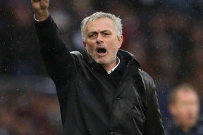 今年会-球队核心球员诺维茨基空降现场给予支持的简单介绍